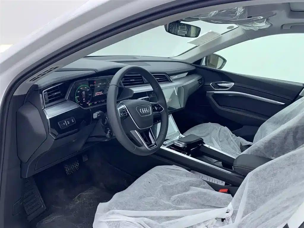 Audi e-tron 2021 50 quattro Luxury — миниатюра 15