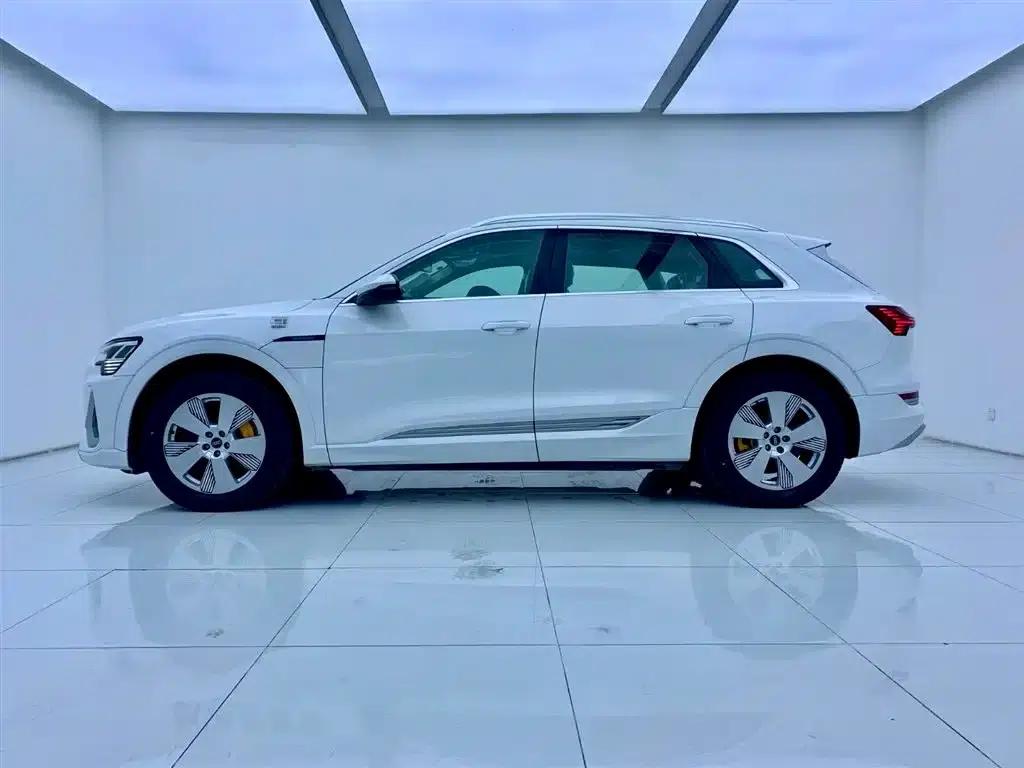 Audi e-tron 2021 50 quattro Luxury — миниатюра 3