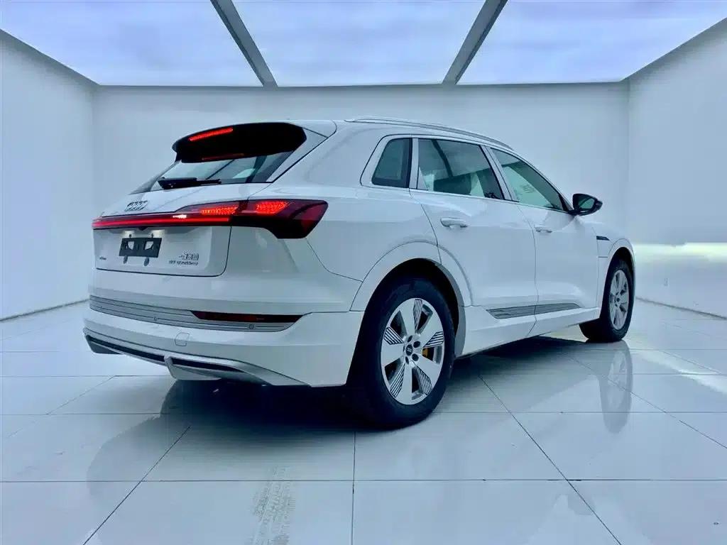 Audi e-tron 2021 50 quattro Luxury — миниатюра 5