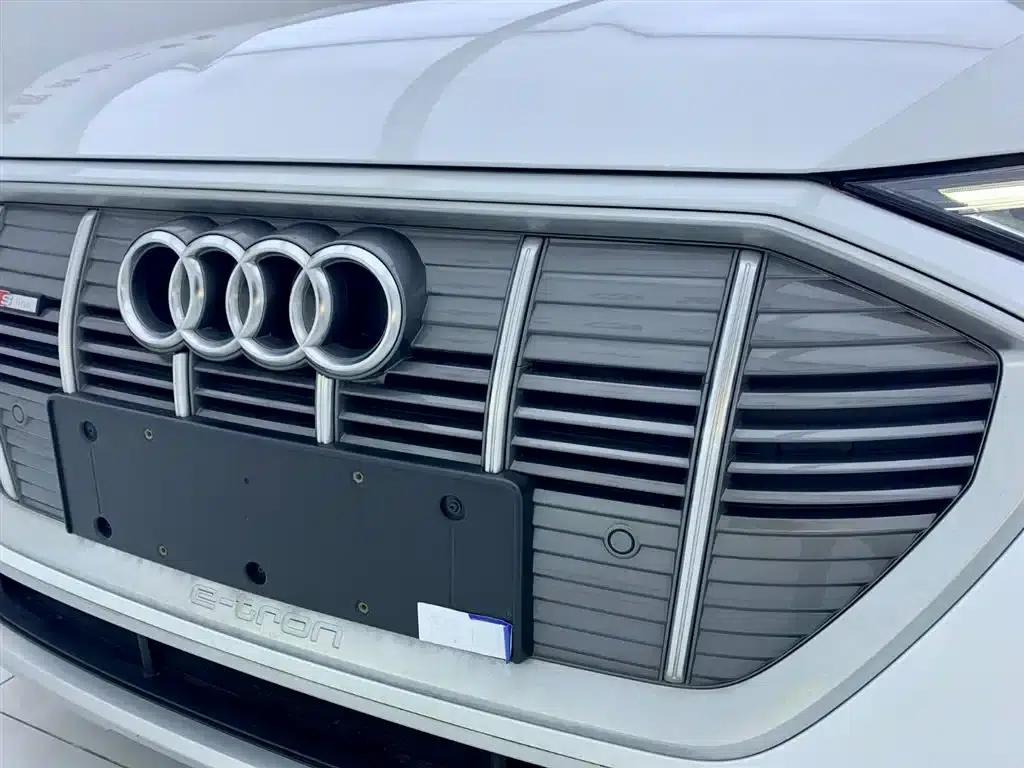 Audi e-tron 2021 50 quattro Luxury — миниатюра 7