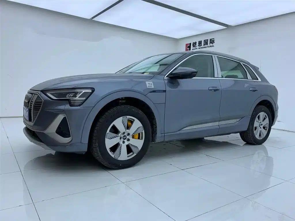 Audi e-tron 2021 50 quattro Luxury — миниатюра 1