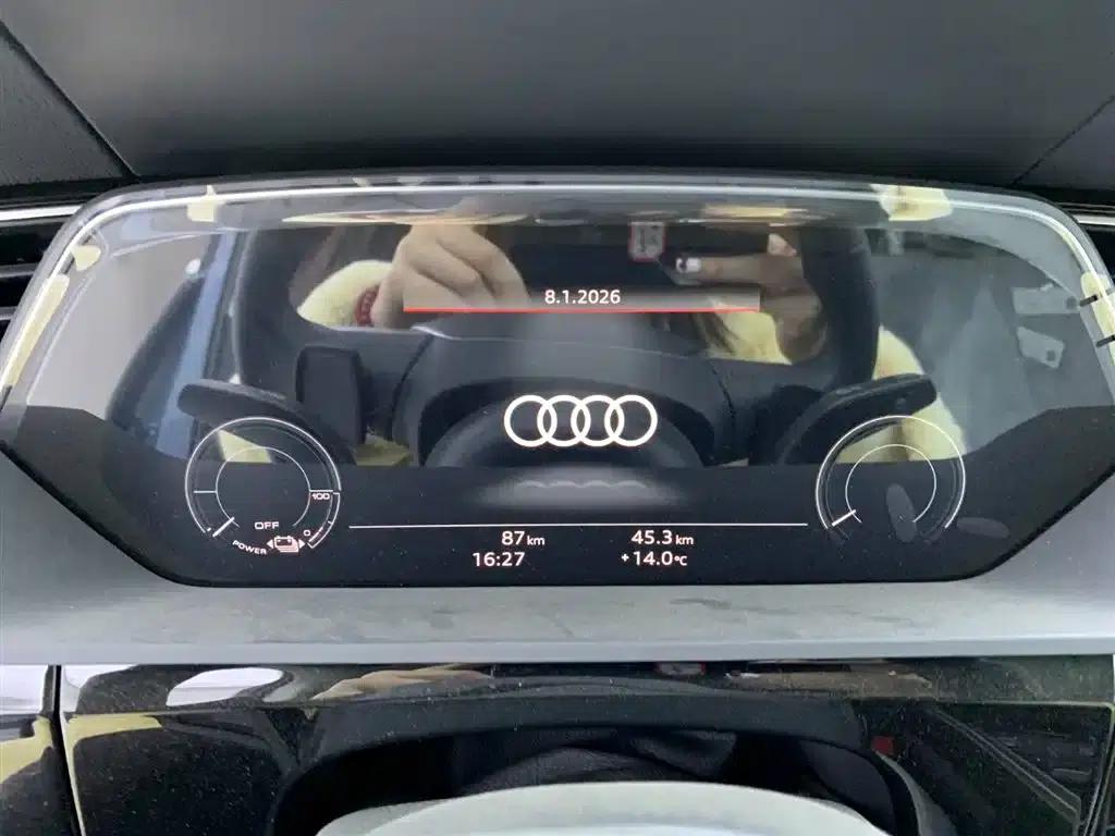 Audi e-tron 2021 50 quattro Luxury — миниатюра 19