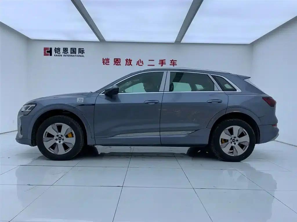 Audi e-tron 2021 50 quattro Luxury — миниатюра 3