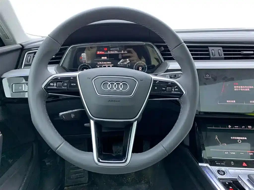 Audi e-tron 2021 50 quattro Luxury — миниатюра 22