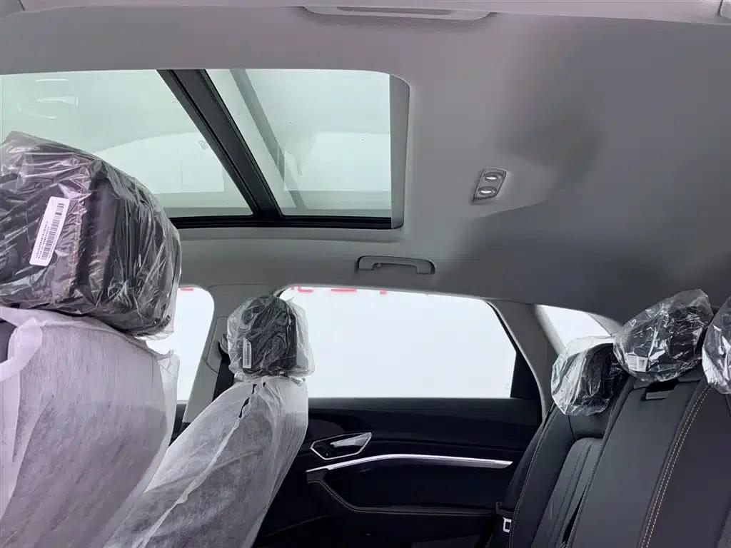 Audi e-tron 2021 50 quattro Luxury — миниатюра 26