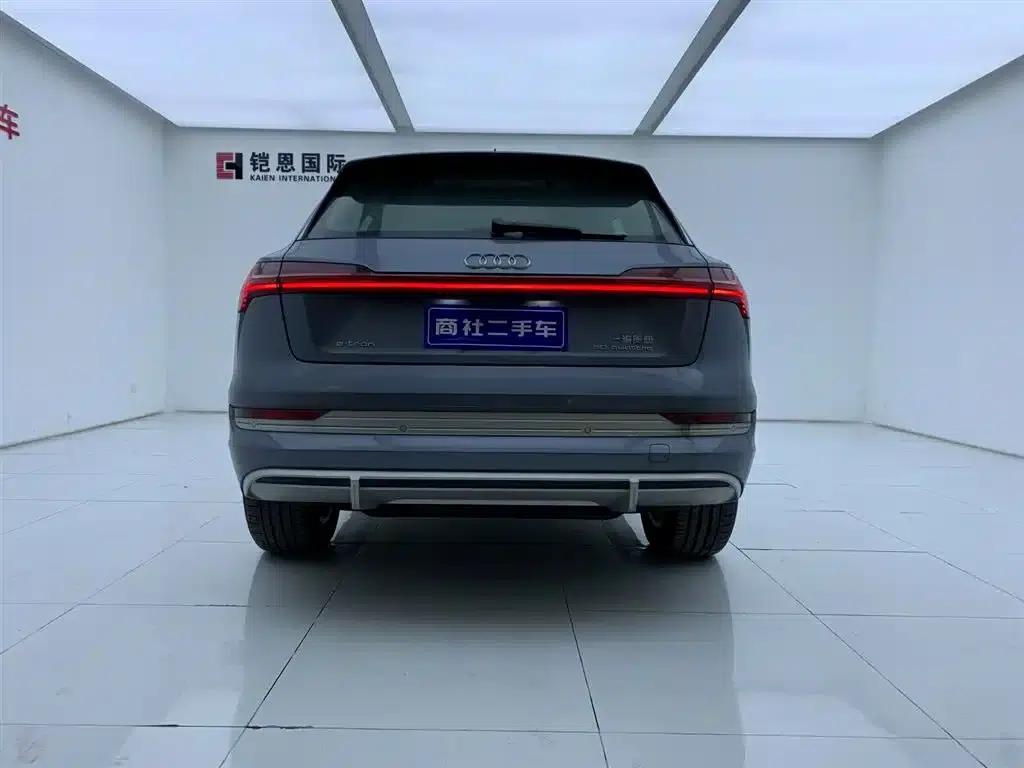 Audi e-tron 2021 50 quattro Luxury — миниатюра 4