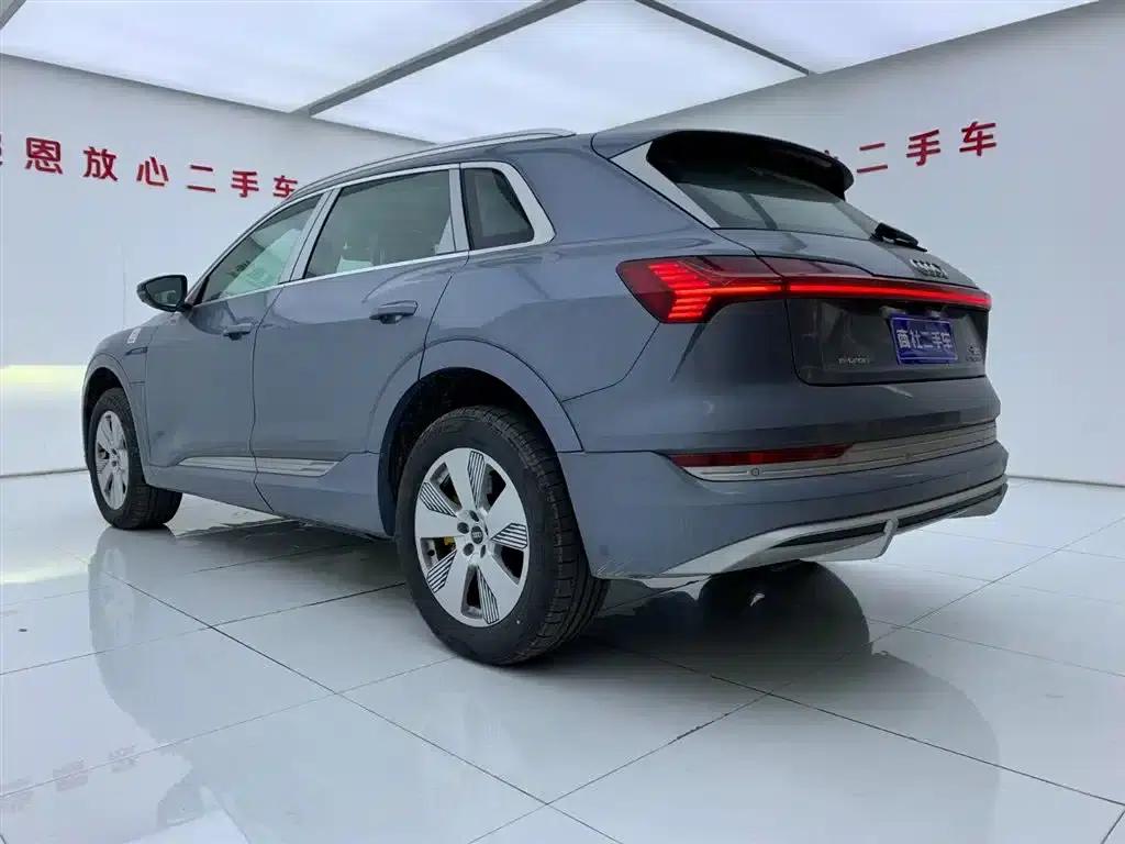 Audi e-tron 2021 50 quattro Luxury — миниатюра 5