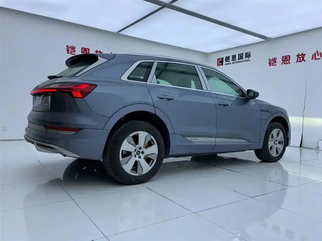 Audi e-tron 2021 50 quattro Luxury — миниатюра 6