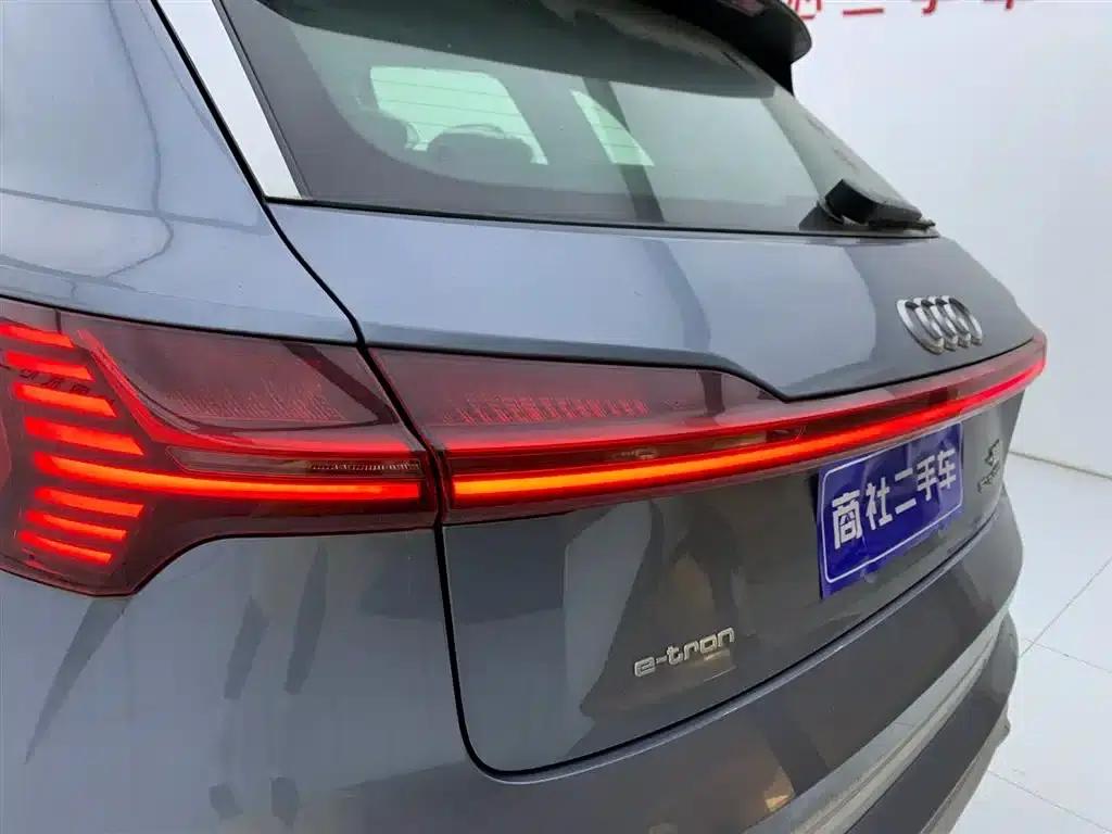 Audi e-tron 2021 50 quattro Luxury — миниатюра 9