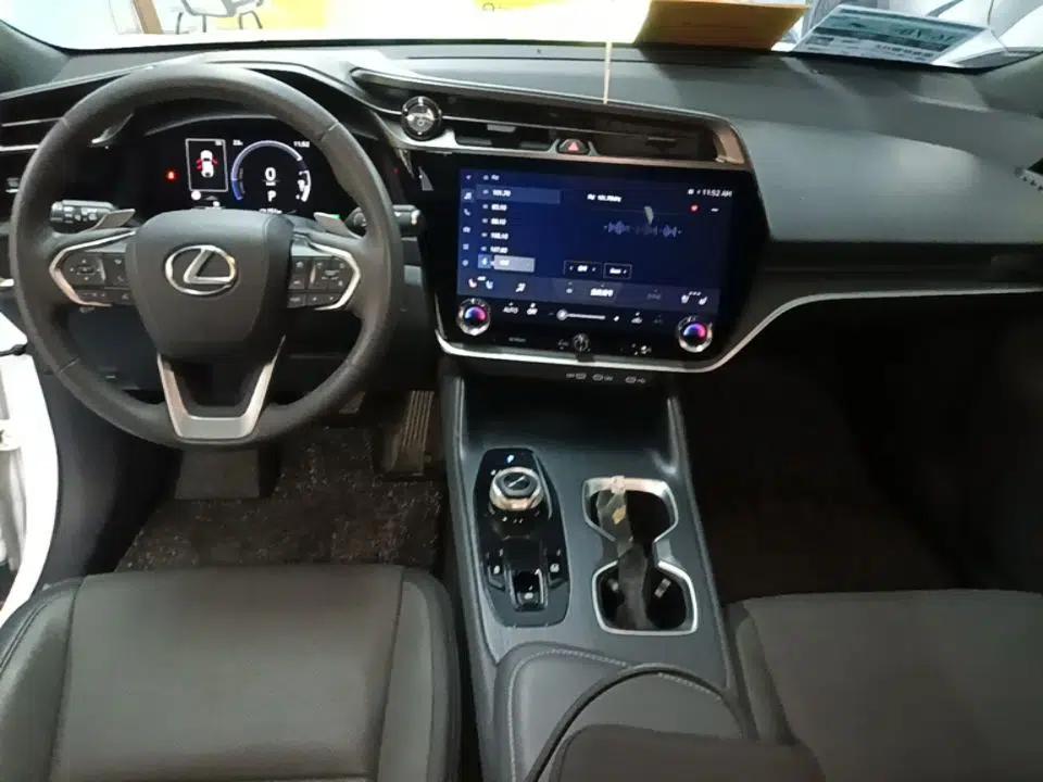 Lexus RZ 2023 450e All-Wheel Drive Luxury Edition — миниатюра 13