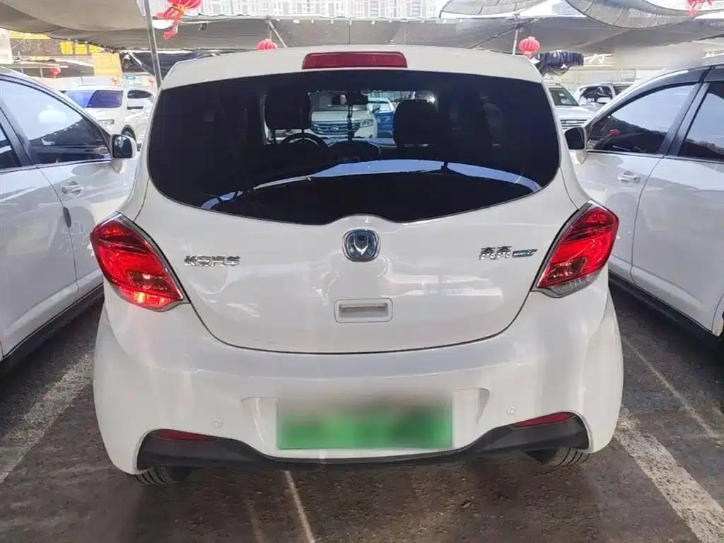 Benben EV 2019 EV360 Standard Edition — миниатюра 6