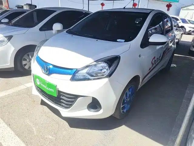 Benben EV 2019 EV360 Standard Edition