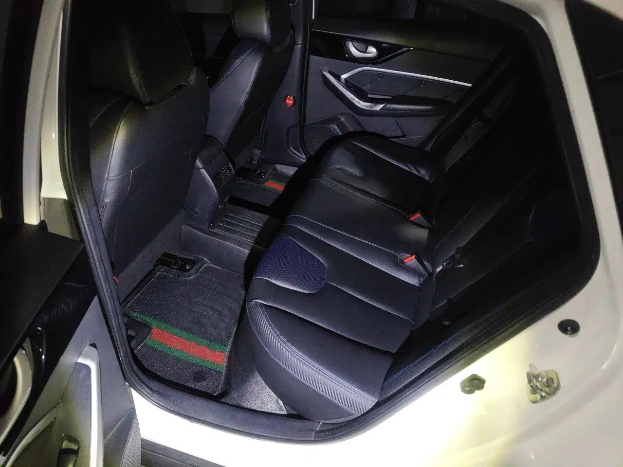 Venucia D60EV 2020 Standard Range Comfort Edition — миниатюра 18