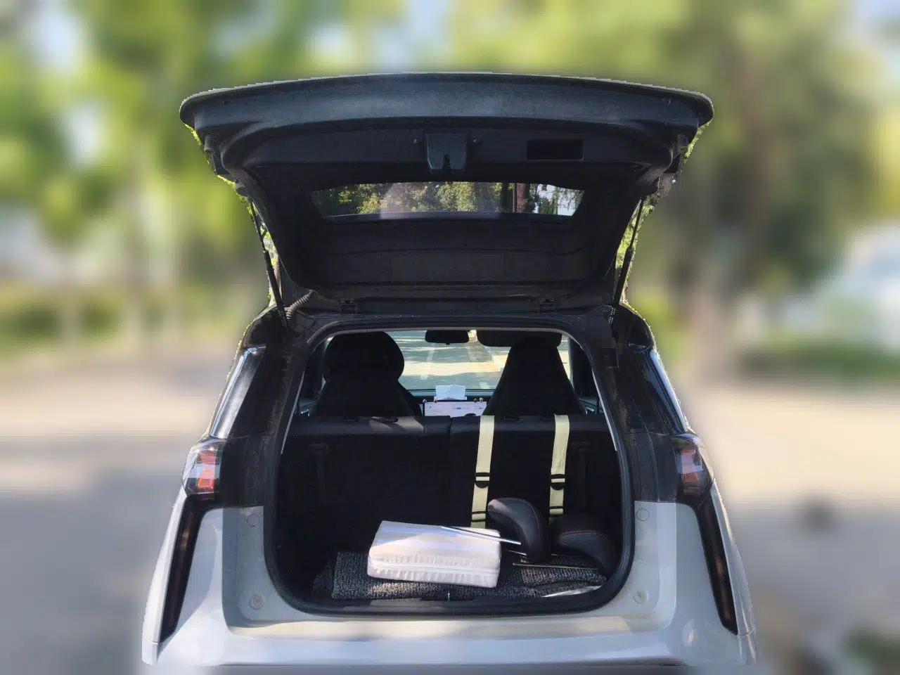 Chery New Energy Boundless Pro 2022 301km LingShou Edition Lithium Iron Phosphate — миниатюра 20