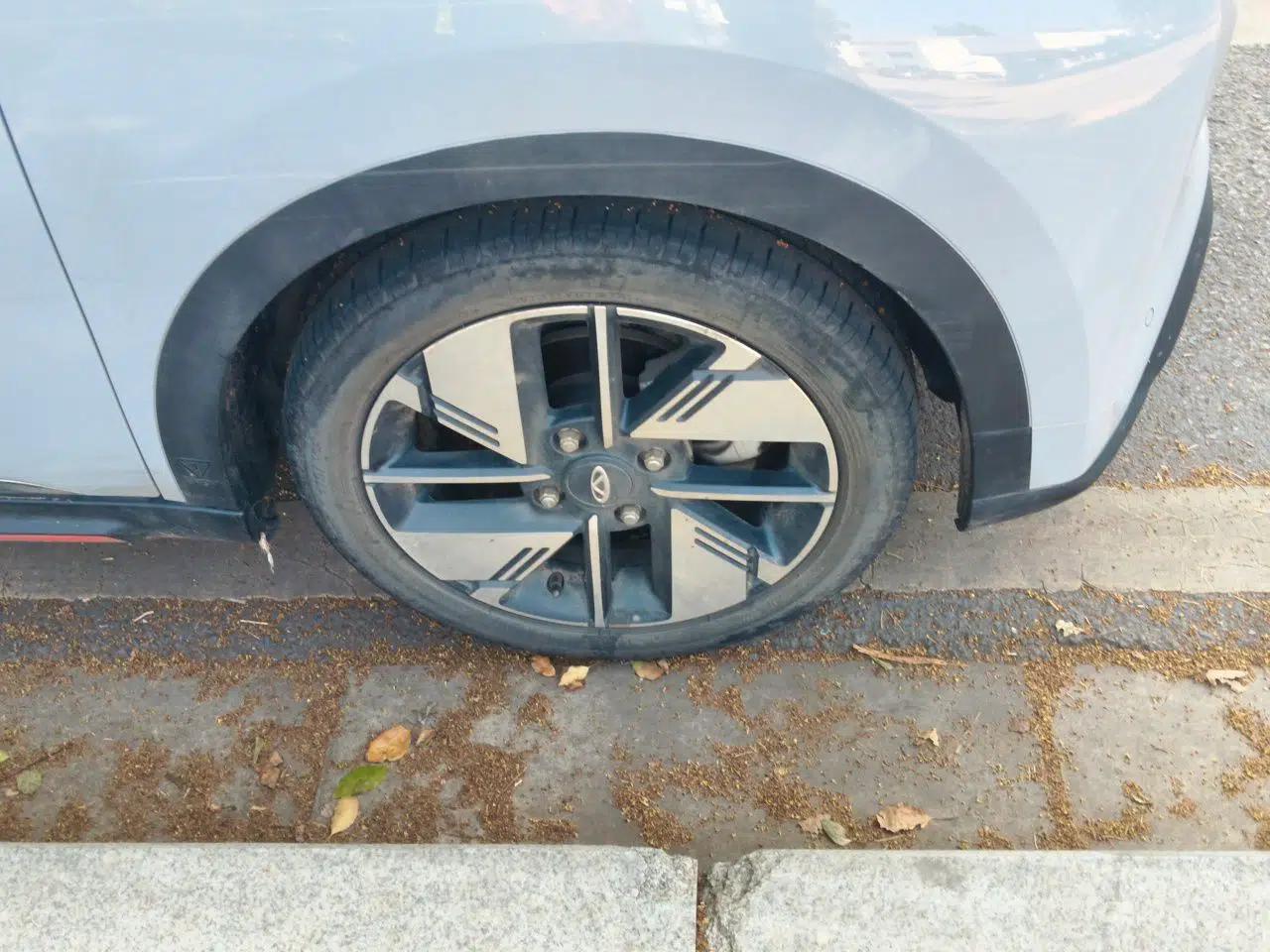 Chery New Energy Boundless Pro 2022 301km LingShou Edition Lithium Iron Phosphate — миниатюра 8