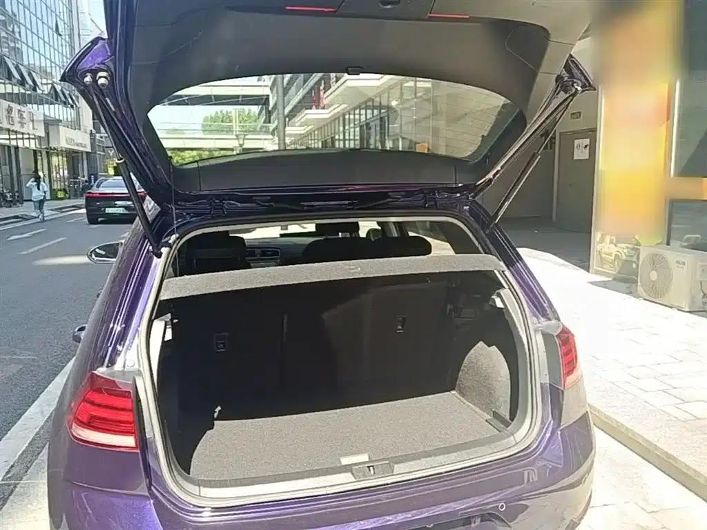 2020 Golf EV — миниатюра 19