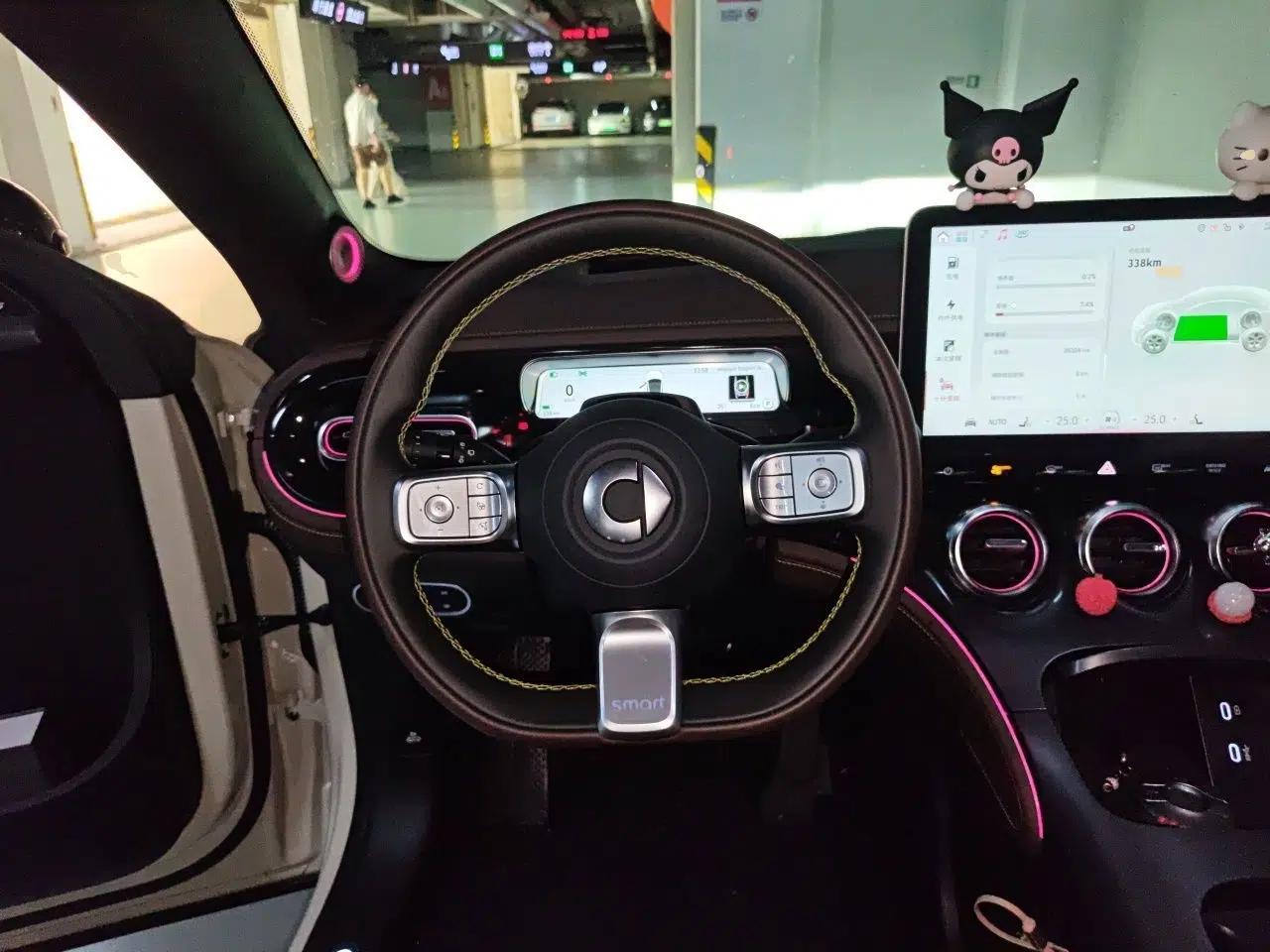 smart #3 2023 Pulse Four-Wheel Drive Edition — миниатюра 11