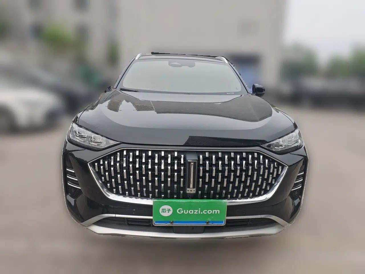 Wey Mocha 2021 2.0T Two-Wheel-Drive Ultra-Strong Version — миниатюра 2