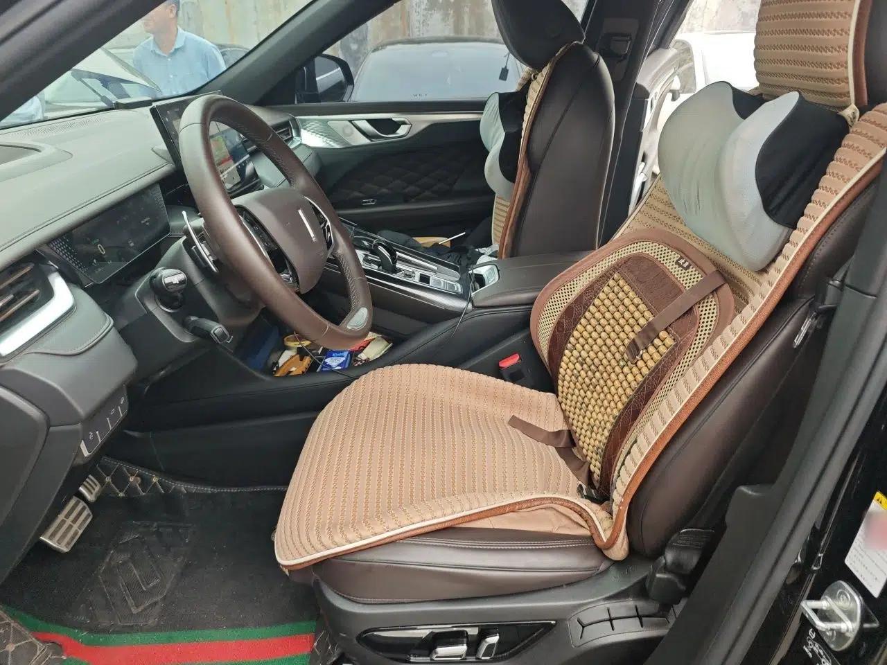 Wey Mocha 2021 2.0T Two-Wheel-Drive Ultra-Strong Version — миниатюра 16