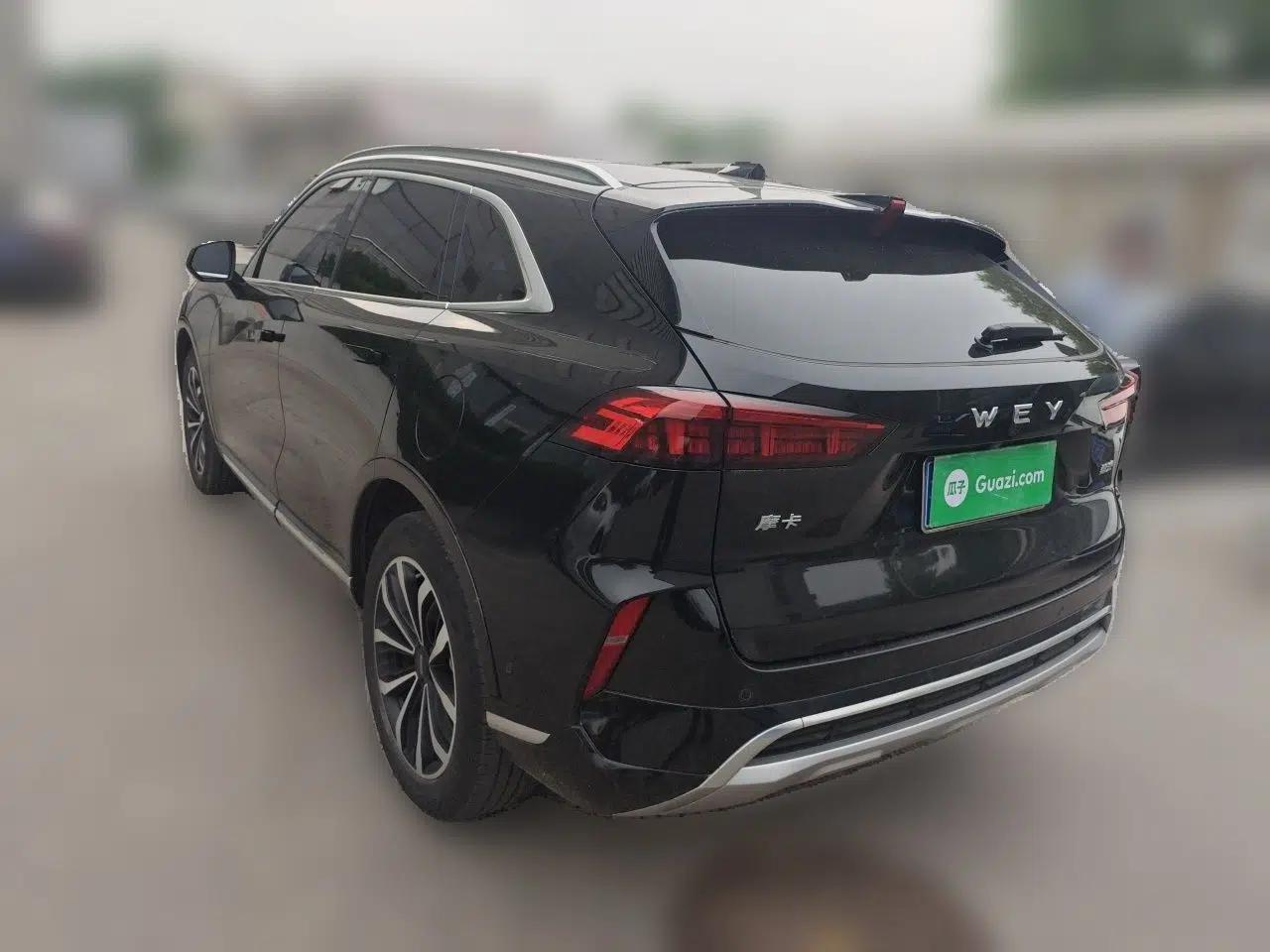 Wey Mocha 2021 2.0T Two-Wheel-Drive Ultra-Strong Version — миниатюра 4