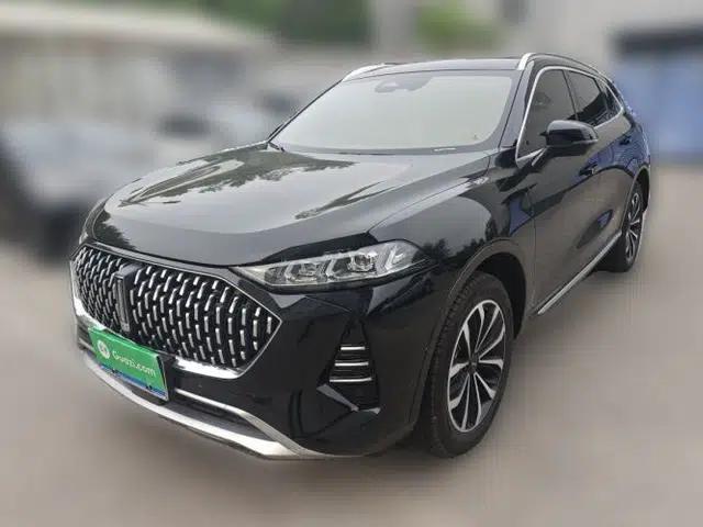 Wey Mocha 2021 2.0T Two-Wheel-Drive Ultra-Strong Version