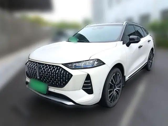 Wey Mocha 2021 2.0T Four-Wheel Drive Premium Edition