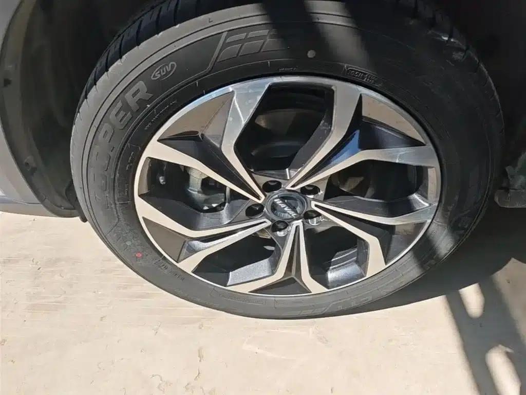 Haval Mythical Beast 2022 1.5T Smart Edition — миниатюра 23