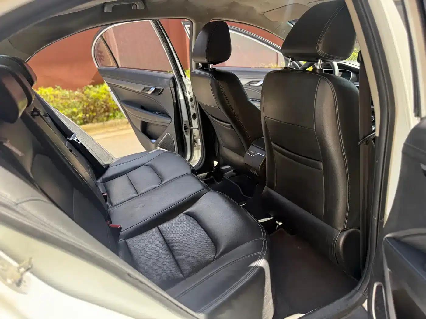 Geely Emgrand EV450 Progressive (2018 Model) — миниатюра 8