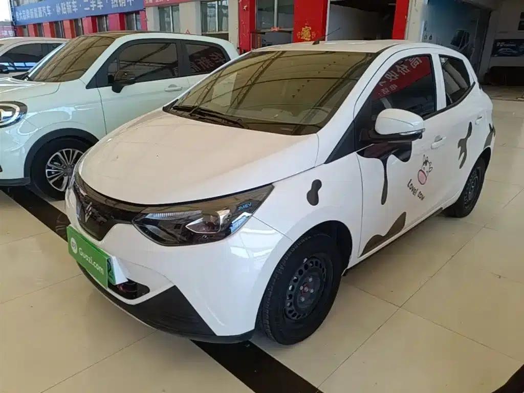 Yizhi EV2 2023 Auspicious Edition 201km Comfort Model — миниатюра 1