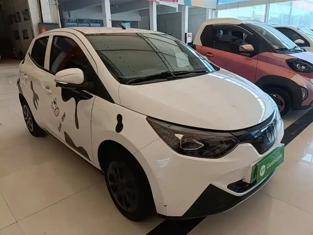 Yizhi EV2 2023 Auspicious Edition 201km Comfort Model — миниатюра 4