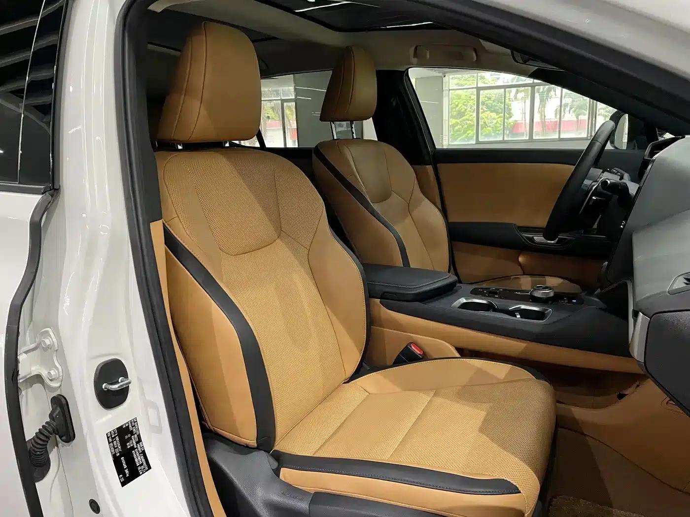 Lexus RZ 2023 450e AWD Luxury Edition — миниатюра 14