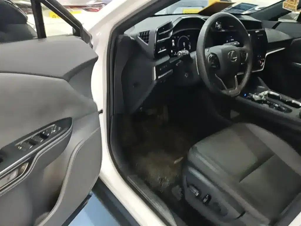 Lexus RZ 2023 450e AWD Luxury Edition — миниатюра 16