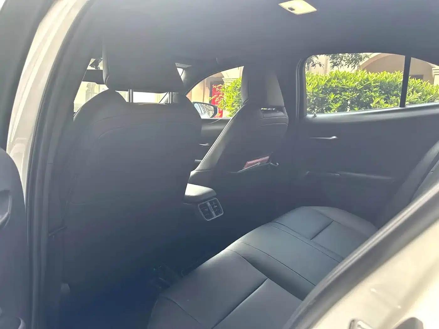 Lexus UX PHEV 2020 300e Pure Enjoy Edition — миниатюра 8