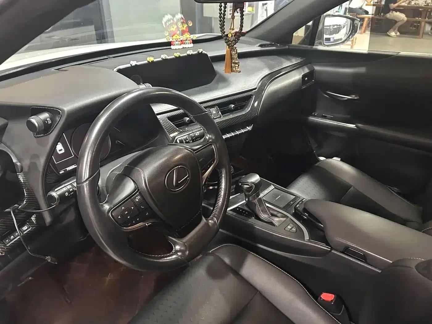 Lexus UX PHEV 2020 300e Pure Enjoy Edition — миниатюра 9