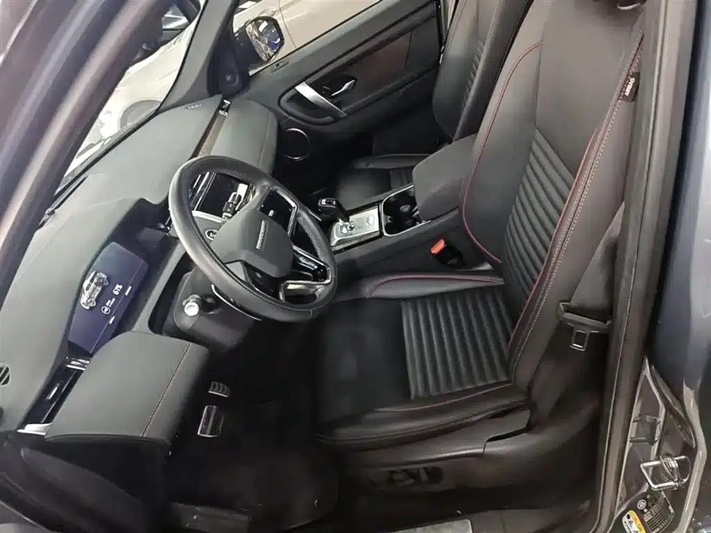 Discover Sporty New Energy 2022 P300e Performance Technology Edition — миниатюра 15