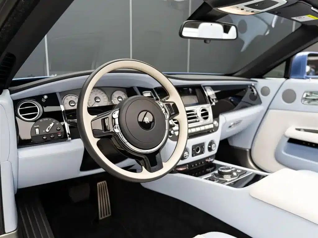 2018 Dawn 6.6T Standard Edition — миниатюра 8