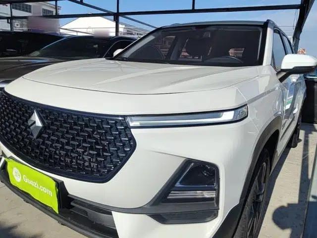 Baojun RS-5 2019 1.5T Manual Super Connected Luxury Edition China VI