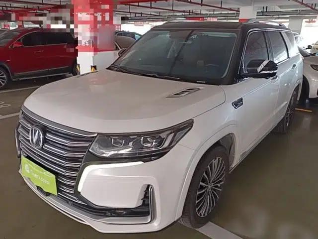 CHANGAN CS95 2019 2.0T Two-Wheel-Drive Luxury Version