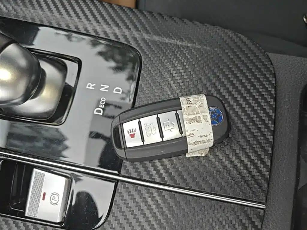 Venucia D60EV 2023 PLUS Comfort Edition SI — миниатюра 9