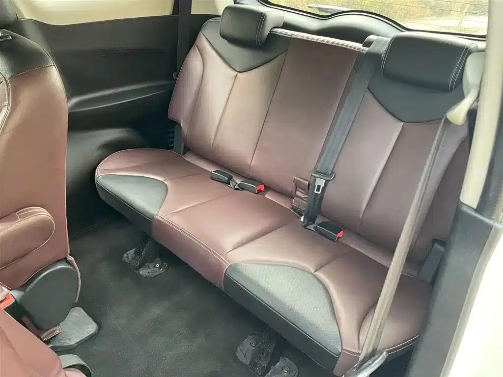 Venucia M50V 2017 1.6L XL CVT Deluxe Edition — миниатюра 8