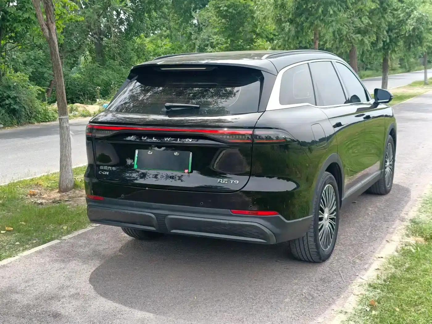 Fengyun T9 2024 Model 120 Long Range Luxury 5-Seater Ternary Lithium — миниатюра 7