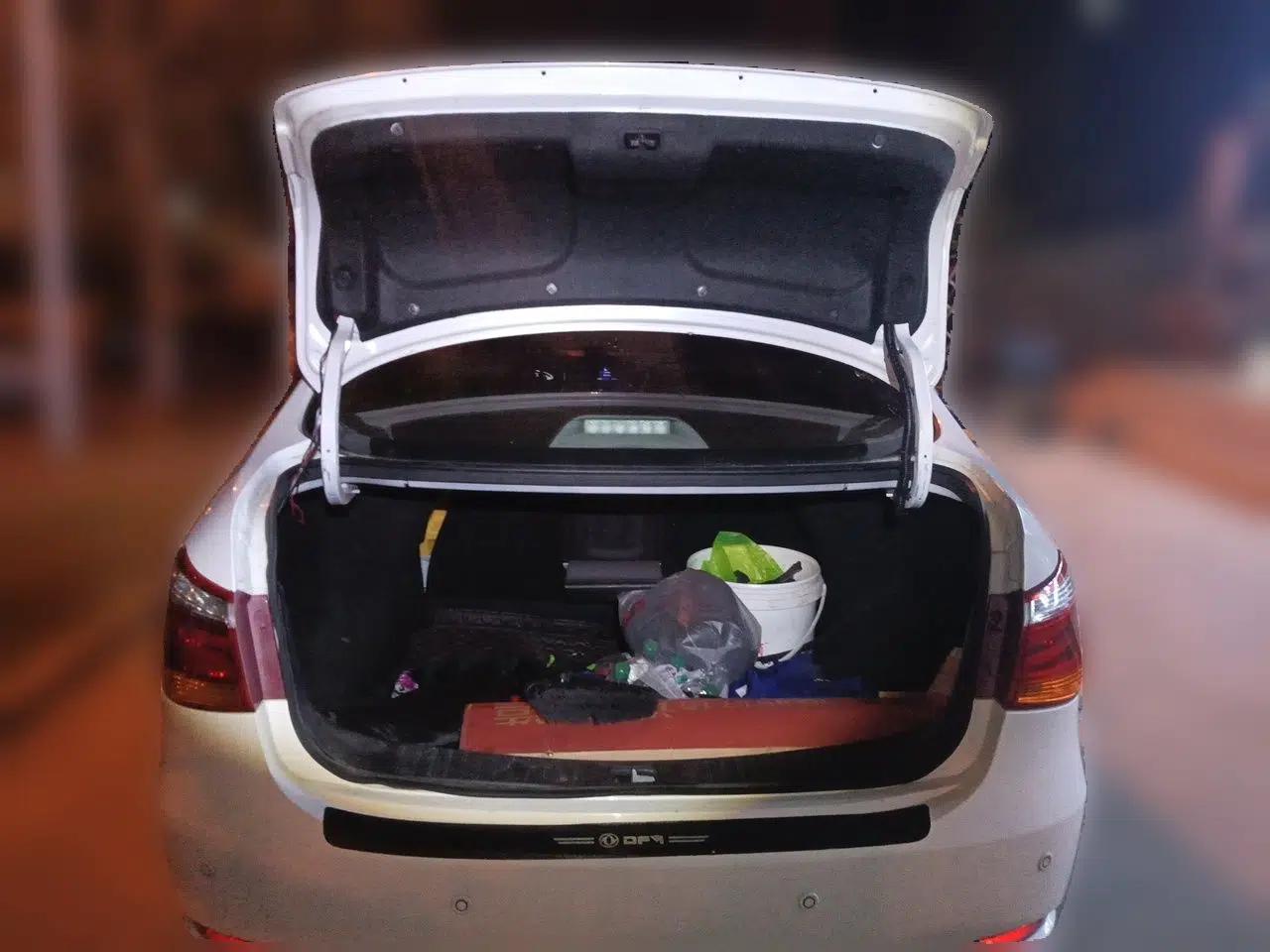 Dongfeng Aeolus E70 2019 500 Ultra-Comfort Edition — миниатюра 20