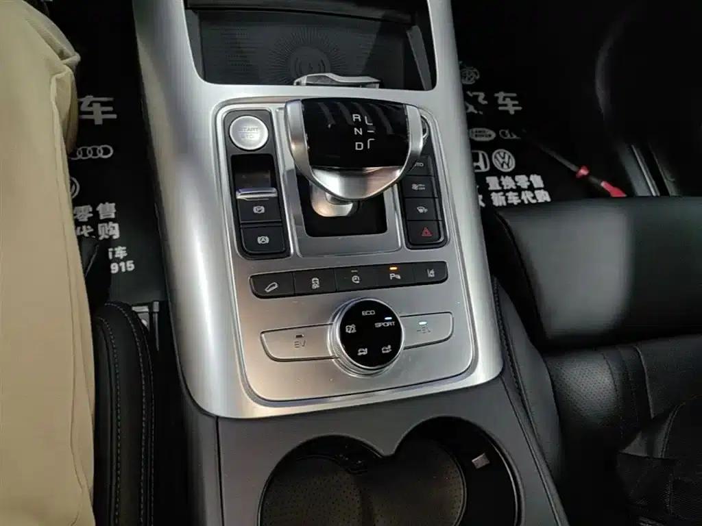 Denza X 2020 PHEV Flagship Edition — миниатюра 14