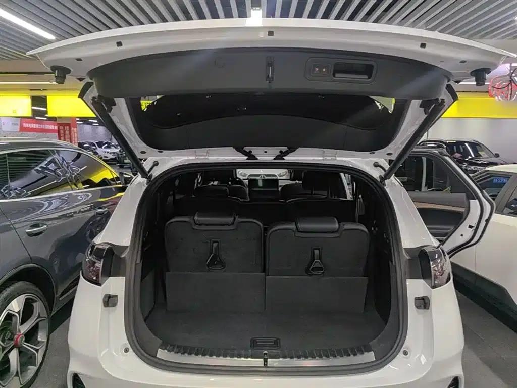 Denza X 2020 PHEV Flagship Edition — миниатюра 19