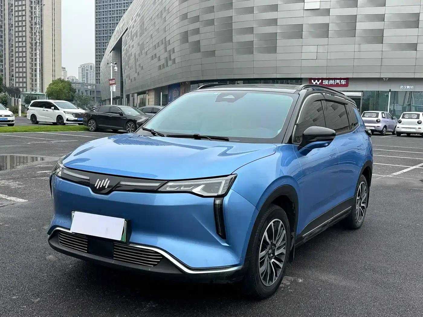 Weltmeister W6 2021 520km PRO All-Round Edition — миниатюра 1