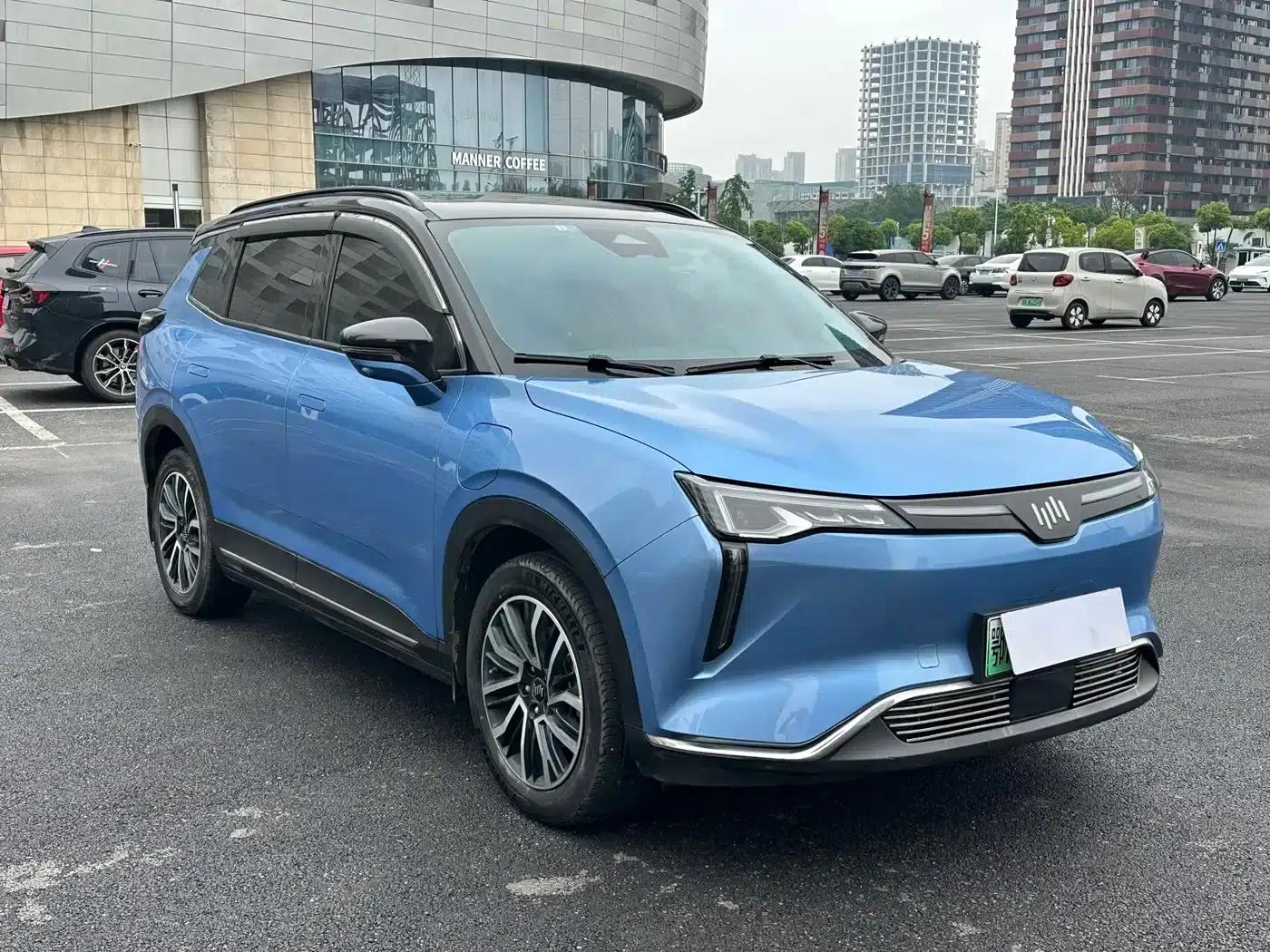 Weltmeister W6 2021 520km PRO All-Round Edition — миниатюра 6