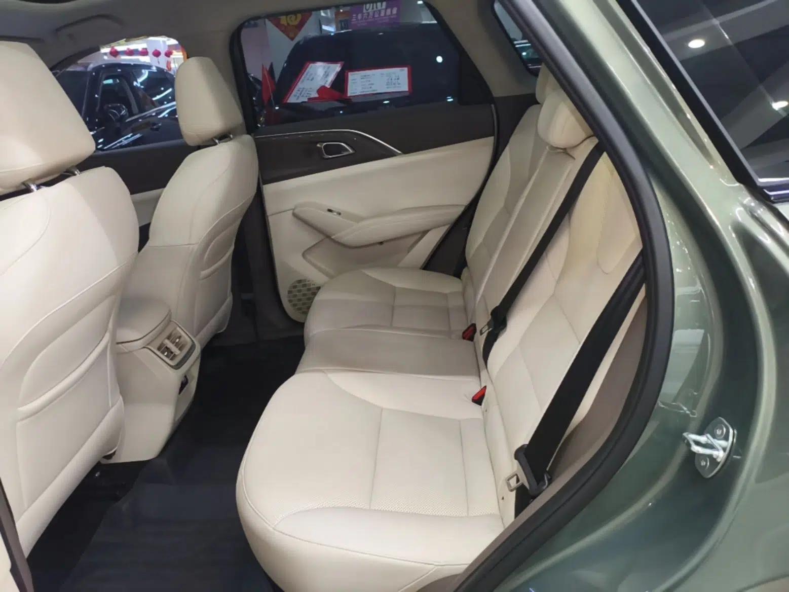 Haval Fierce Dragon Max 2025 Hi4 110 Plus Smart Drive Edition — миниатюра 20