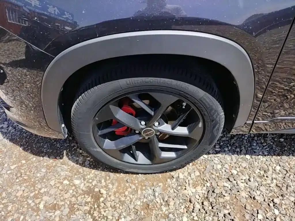 Exeed Chaser 2021 Versailles Edition 1.6T DCT Star Edition — миниатюра 23