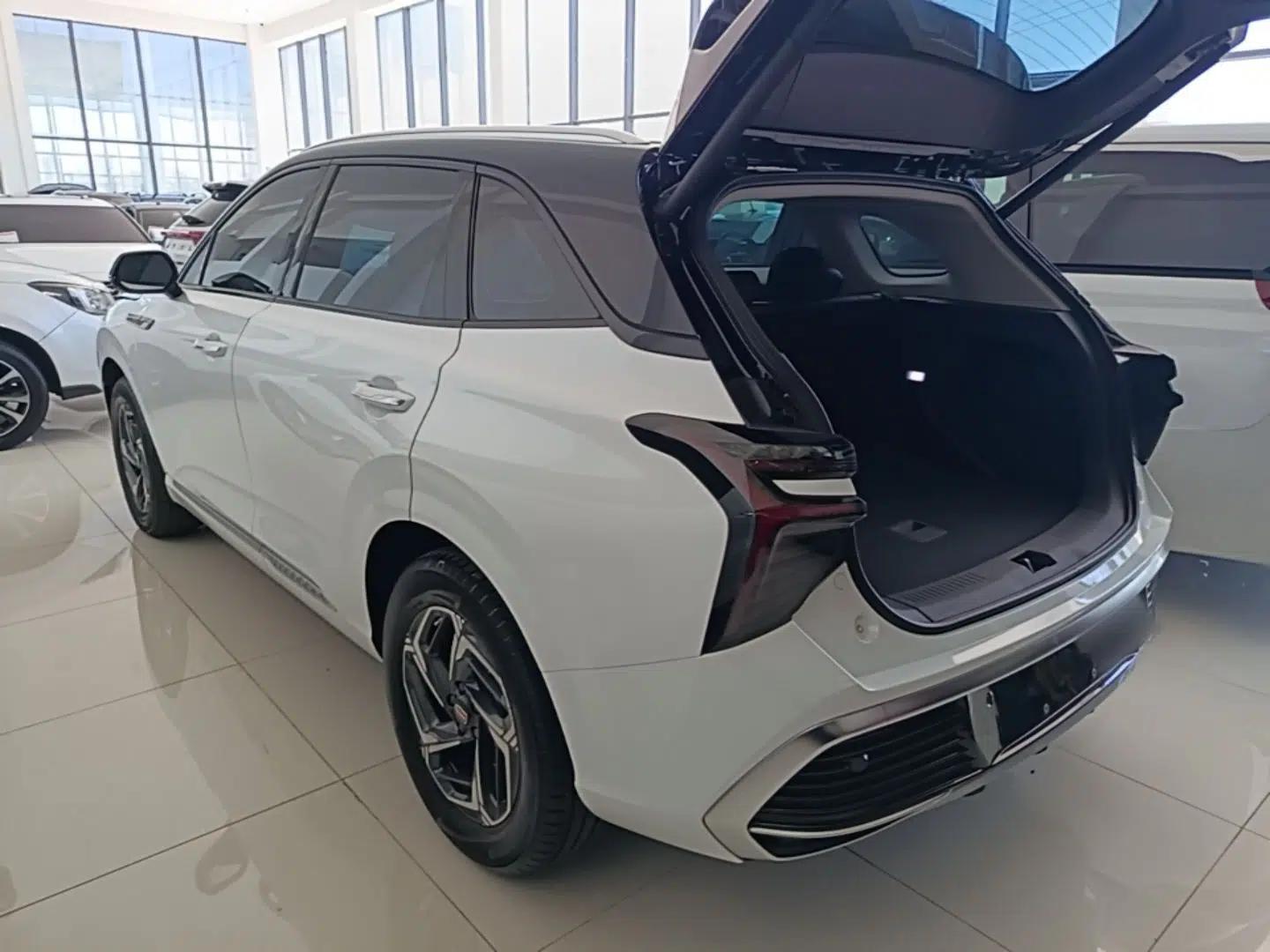 Hongqi HS3 2023 1.5T Two-Wheel Drive Shanwei Edition — миниатюра 4