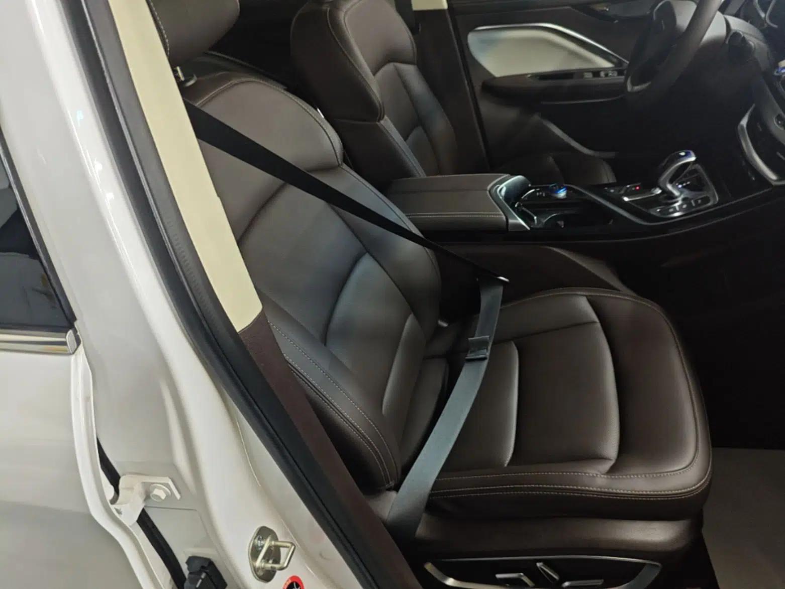 Geely Auto Jiajie New Energy 2019 1.5TD PHEV Deluxe Edition — миниатюра 23